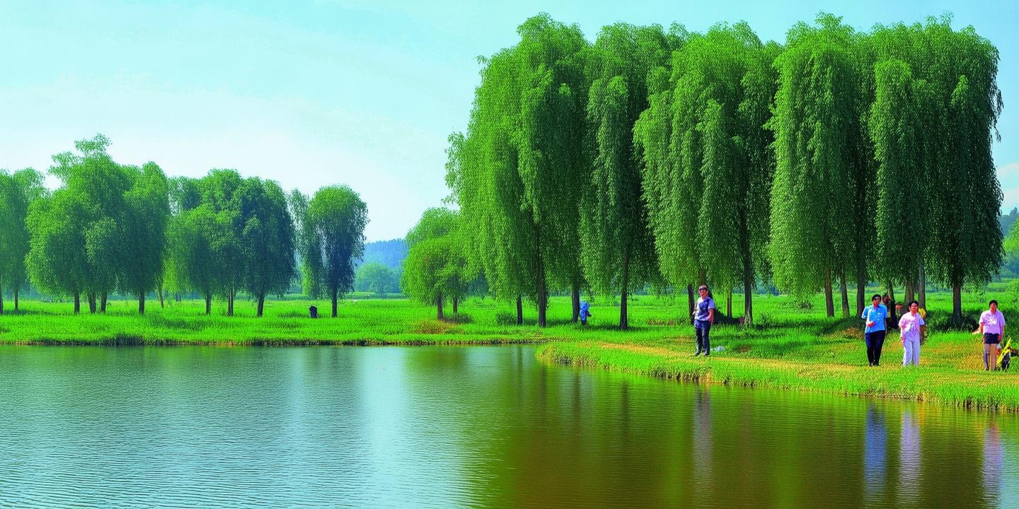 退渔还湿成效显著,汉中西乡县获评“中国天然氧吧”